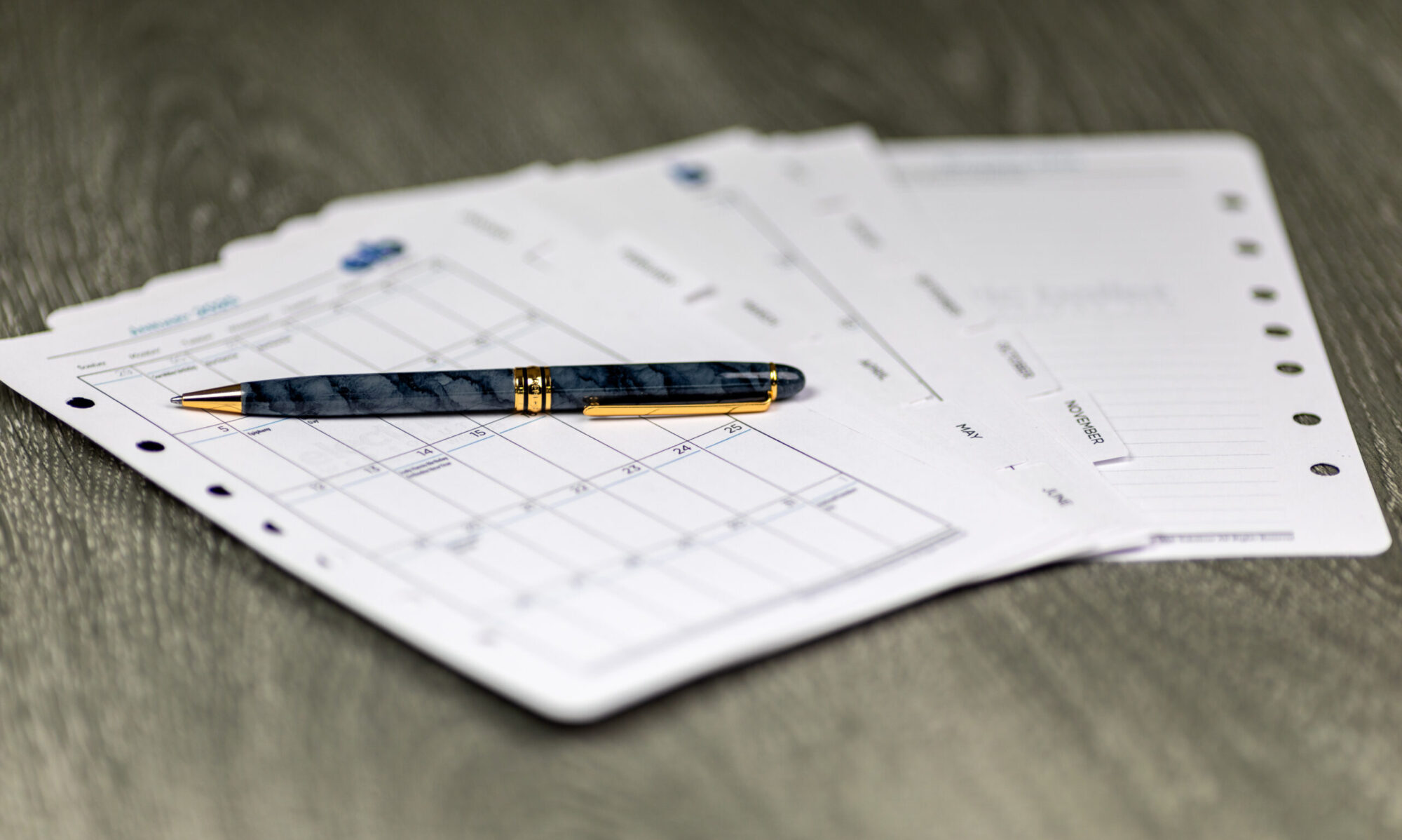 Your Custom Planner pages
